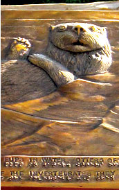 This bronze sea otter low relief sculpture is one of the many tactile public art stone and bronze installations created by Ann Cunningham. Be sure to find the link to hear The Summit. This free audio production describes the amazing National Federation of the Blind Mount Everest Expedition when Erik Weihenmayer became the first blind man to stand on top of the world!