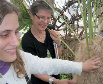 Young woman is directed to feel the different features of a palm plant growing in Denver at the Botanic Gardens. She is on a touch tour of the conservatory lead  by Mervi Hjelmroos-Koski. This blog features posts about the Colorado Center for the Bind student's adventures as we tour galleries & museums and explore Colorado every chance we get. It also posts progress reports as new projects are completed.